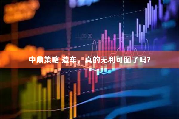 中鼎策略 造车，真的无利可图了吗?