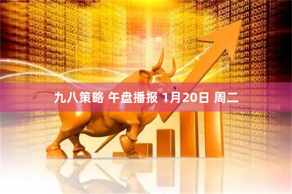 九八策略 午盘播报 1月20日 周二